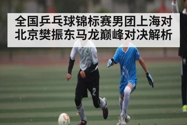 全国乒乓球锦标赛男团上海对北京樊振东马龙巅峰对决解析